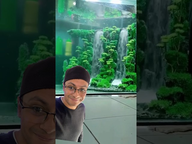 Vídeo relacionado con FUTUREORYY Adorno De Acuario De Deidad Voladora Decoración De Paisajismo para Peceras Estatua Zen para Decoración De Mesa y Oficina para Crear Naturales Acuarios