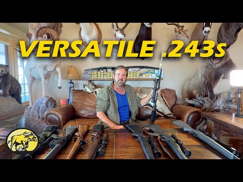 Why the .243 is among the best centerfire rifles