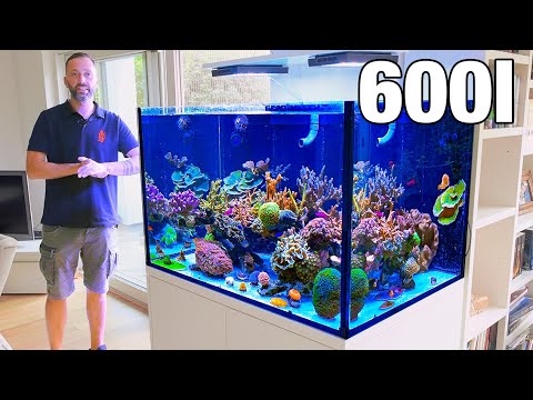 You ALL doubted this aquarium!