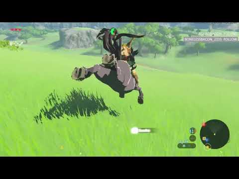 The Life and Times of Carl Horse