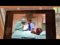 Shalom Sesame Spring Fever