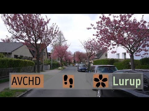 【AVCHD】Sakura Walk in Lurup | Hamburg 🇩🇪