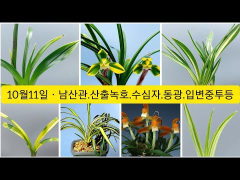 유튜브 썸네일