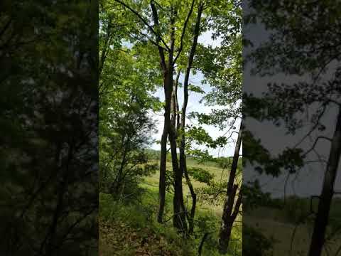 Biking Bearskin in Minocqua, Wi