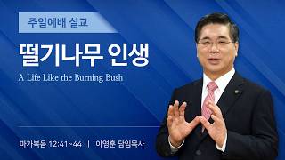 2026년 10월 18일 여의도순복음교회 이영훈 담임목사 주일예배설교 / 떨기나무 인생