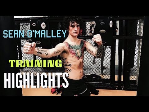 Sean O'Malley Training Highlights 2018