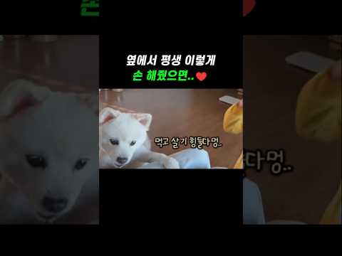 옆에서 평생 이렇게 손 해줬으면..♥