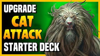 How to Upgrade the CAT ATTACK Starter Deck - Magic Arena