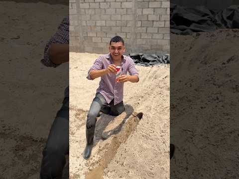 PESCANDO CERVEZAS #shorts