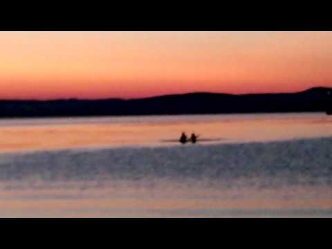 Cousin Silas - Future Tense (original)