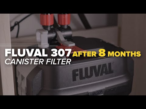 8 Months Update & Maintenance Fluval 07 Series Canister Filter | Fluval 107 207 307 407