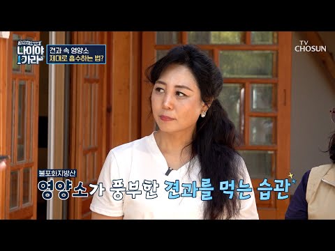 비디오 11