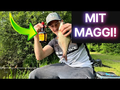 Mit Maggi ! FÄNGT das wirklich so GUT???