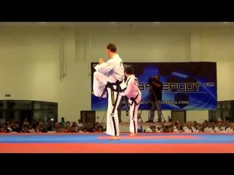 2014 ITF World Cup - Individual Male Pattern, 4th Dan, Senior - Moon-Moo Tul