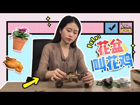E15 Did you know you can bake a chicken in a flowerpot at office? | Ms Yeah
