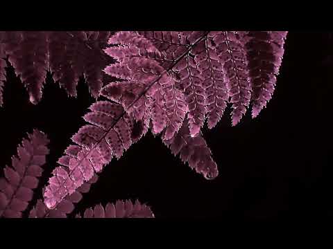 Midas Touch By Midnight Star (Screwed) x 猫 シ Corp. x  Luther Patton