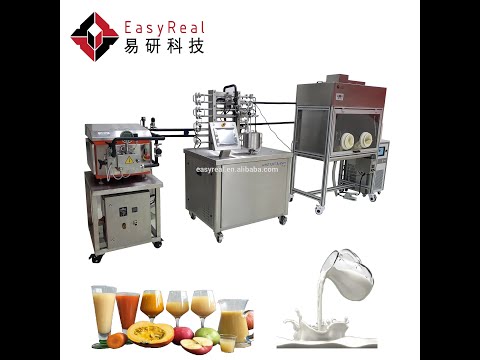 EasyReal Lab UHT Sterilizer Plant for Dairy and Beverage in R&D Center