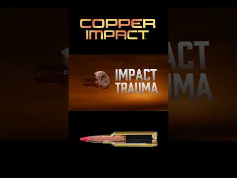 Winchester Copper Impact