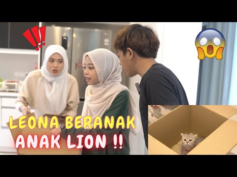 KAMI JADI DOKTOR ! - LEONA BERANAK ANAK LION