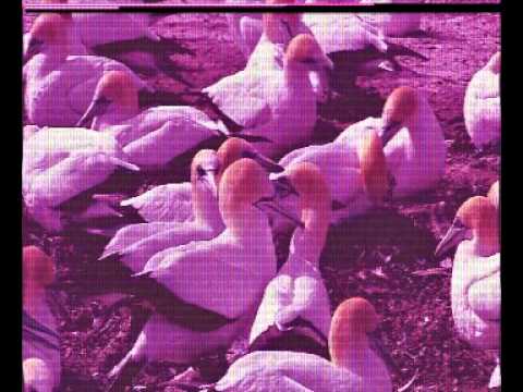 Video thumbnail for Together