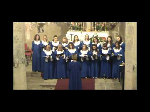 Zbor mladih župe Lobor - Moja misli