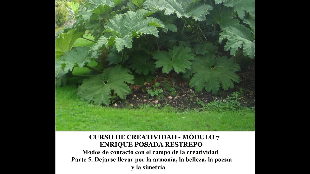 Este es el módulo 7 de mi curso de creatividad