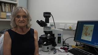 International Day of Women and Girls in Science - Lynne's profile
