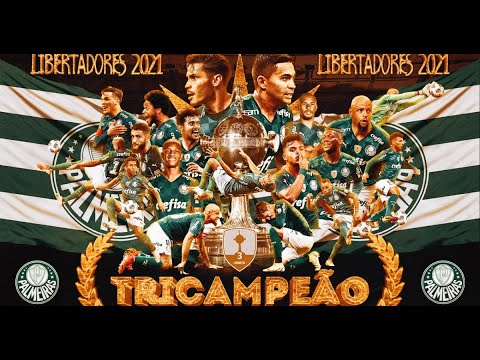 Segundo gol de Deyverson, palmeiras campeão da libertadores.