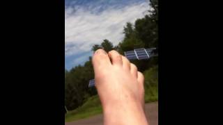 SCREAMING FOOT HAIRS