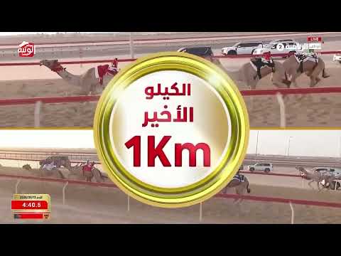 ش 7 (لافي) لـ ظافر مسعود بن هادي الاحبابي 6:09:48 ، شارة الديوان 2026/9/13 إيذاع الوثبة