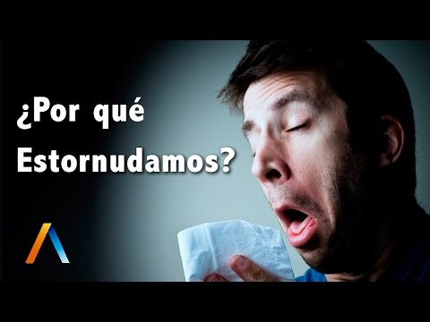 , title : '¿Por qué estornudamos?'