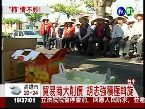 2元柿衝擊! 外銷柿價被腰斬