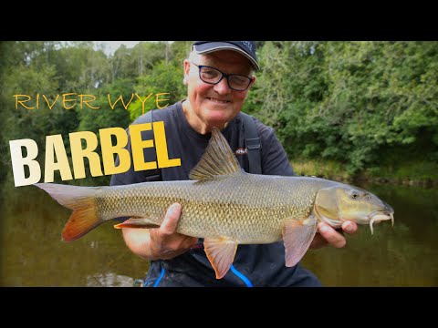 Let's Go Fishing | Episode 3 | Barbel on the beautiful River Wye