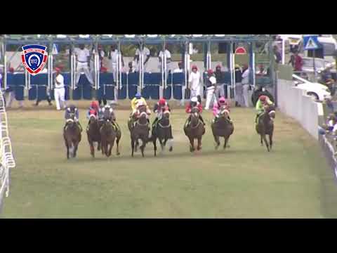 RM28 R1 - Philosopher