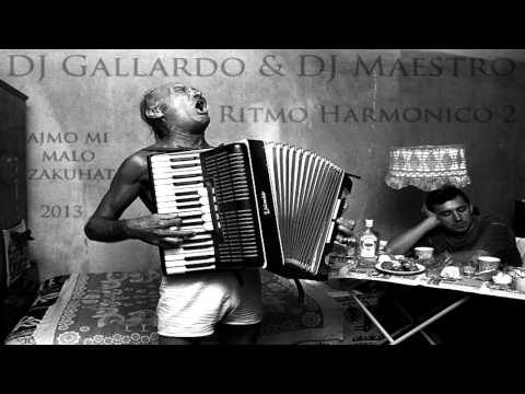 DJ Gallardo & DJ Maestro - Ritmo Harmonico 2 (Radio Edit 2013)