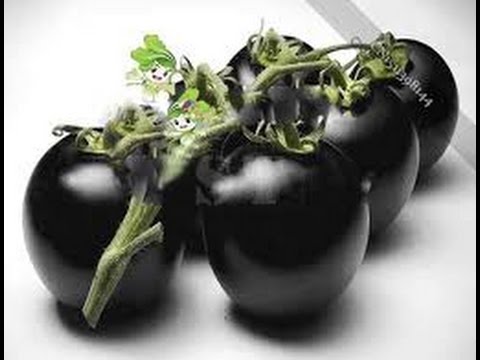 , title : '⟹ Black Cherry Tomato, Solanum lycopersicum Taste Test AND REVIEW #TOMATO'