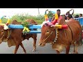 Pongal Festivel Mattu Vandi Kilpennathur