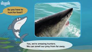 3 lv02 001 Meet the Animals 1 Great White Shark