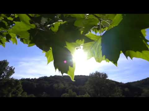 Stressfrei - Entspannungsmusik für positives Denken – Beruhigen und Entspannen Sie