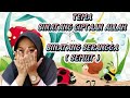 MENGENAL BINATANG SERANGGA SEMUT KELOMPOK B