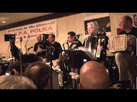 Chicago Town Polka - Eddie Blazonczyk Tribute - Lenny Gomulka Chicago Push - 2012
