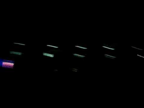 electric daisy carnival 2008