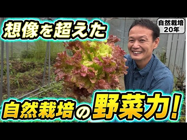 自然栽培レタスが療養者の体に起こした変化