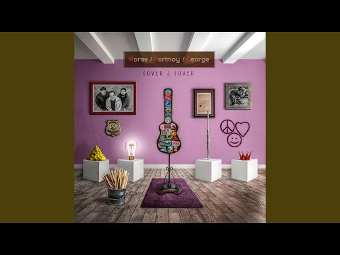 Rikki Don't Lose That Number (2020 Remastered cover Version)