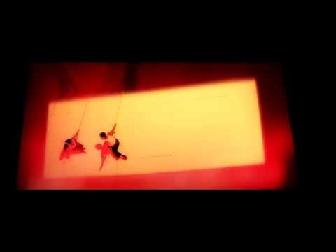 Video 3 de Célula - Compañía Subcielo Video 3 de Célula - Compañía Subcielo
