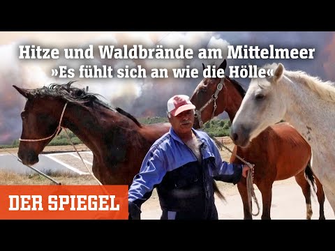 Hitze und Waldbrände am Mittelmeer: »Es fühlt sich an wie die Hölle« | DER SPIEGEL