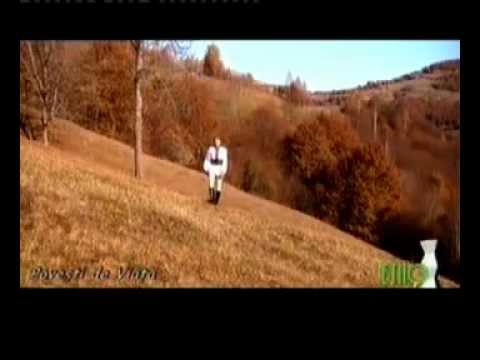 Nicolae Furdui-Iancu : Iar-am apucat la bere