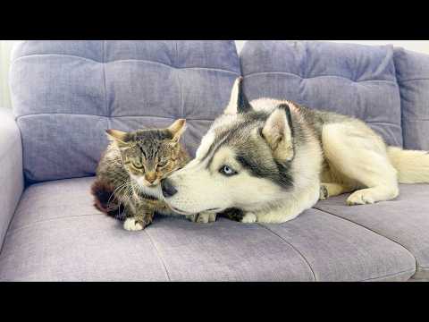 YouTube 썸네일