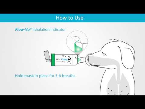 AeroDawg Canine Aerosol Chamber
