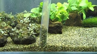 [問題]過濾器的選擇？